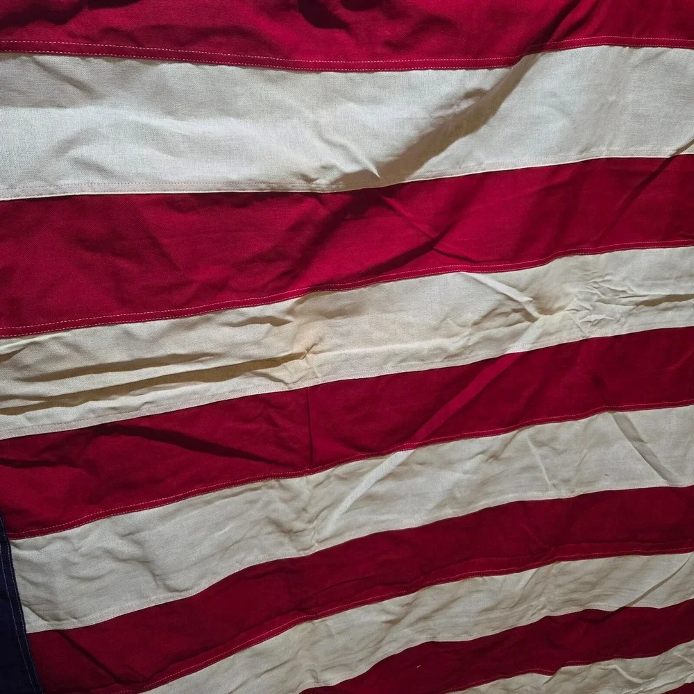 Goodwill American Flag 57 x 112